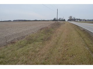 Property photo 19 - LAND AUCTION, 77 Acres offered in 3 Tracts